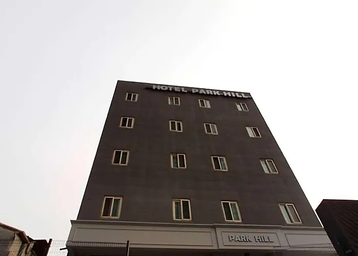 酒店 明洞公园山酒店 3*